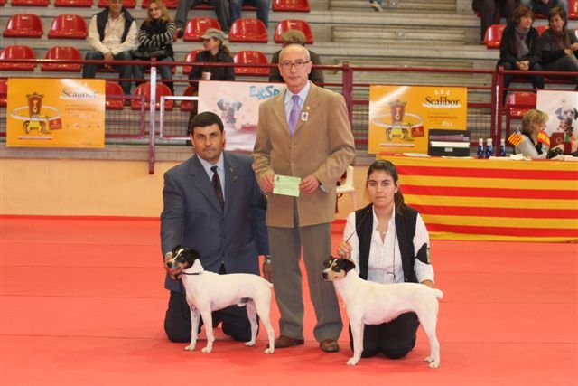 Sandemán y Rueda