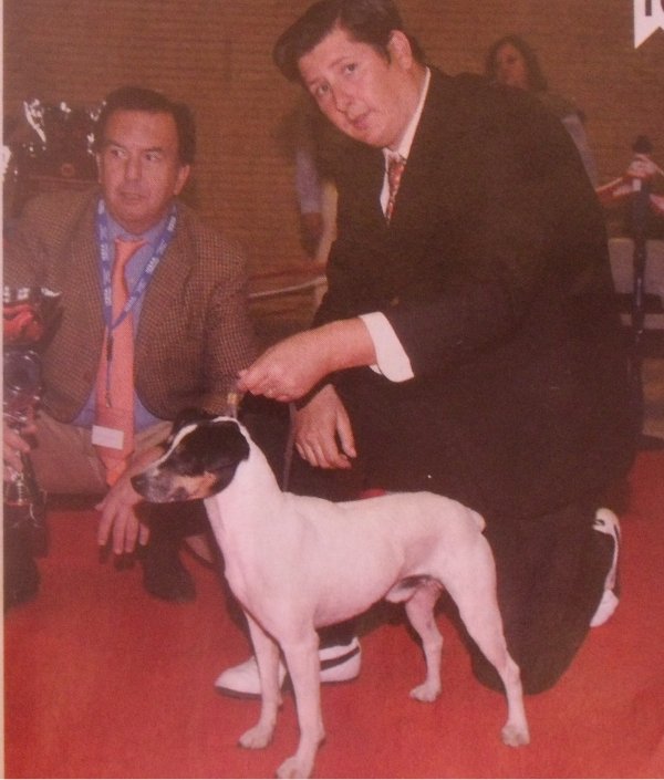 Sandemán (Mel)